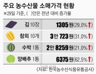 동양식품, 싸군마트21호 | 김 한 장 130원… 팍팍해진 밥상물가