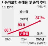 갤럭시아_의료비_일반 | “경상인데 300일 치료 1736만원”… ‘8주룰’ 공백에 보험료 부담↑