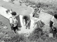 한국수달보호협회강원영서지회 | 수달보호협회 양산천 조사 착수