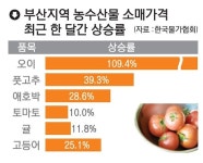 민희네 냉동마트잡화 | 한파가 얼린 장바구니 설 앞 치솟는 생활물가