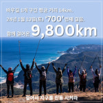 강릉바우길, 주말 다함께 걷기 행사 700회 맞아…누적거리 9,800㎞