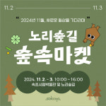 속초시립박물관, 2024년 마지막 노리숲길 숲속마켓 개최