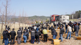 국수나무양구청춘점 | 양구군 2026년 제81회 식목일 나무심기 행사 성료