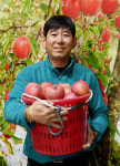 찬미네수선집 | 박성오 찬미네농원 대표 "감홍사과, 문경 독보적 브랜드 될 것"