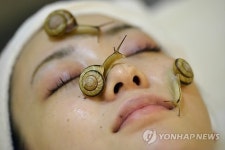져늨`sNail&Beauty | JAPAN SNAIL BEAUTY