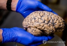 BELGIUM DUFFEL BRAIN COLLECTION