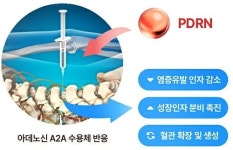 다인한방침술원 | 자생한방병원, 연어 DNA 활용 약침 상용화 나서