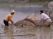 진주종합경기장 비상급수시설 | '물 폭탄' 맞은 진주, 시 지원도 이뤄지지 않아