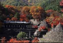 소도몰돈암한신점 | '복원된 소도' 지리산 삼성궁, 제33회 개천대제 개최
