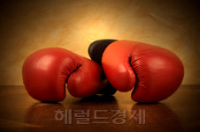 (주)심텍-(3-13호기) | 토끼해 이끌 코스닥 종목은 누구?