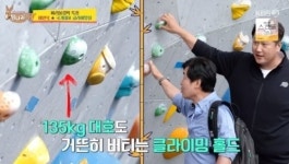 '사당귀' 이대호X이연복, 파리올림픽 응원...클라이밍 국대선수들, 훈련에 없어진 지문들 '울컥'(종합)