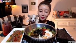 '300만 유튜버' 도로시, 반려견 펫샵 논란에…"공장견 아냐"→"경솔했다" 2차 해명