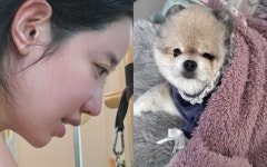 후기