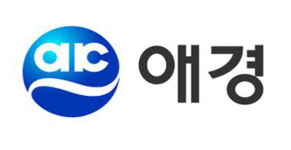 애경그룹, 생활항공·화학·유통부동산 등 3개 부문 폐지…각사 대표 체제로