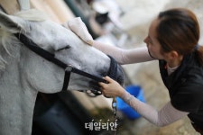㈜한국관정컨설턴트 | 한국마사회, 말산업 컨설턴트 신규 모집