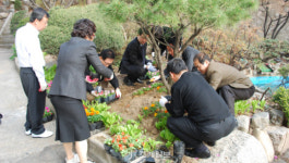 (주)정오아카데미성북세무서 | 성북세무서, "납세자를 해와같이 섬기고 사모하자"