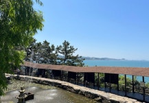 서해에 이런 곳이?...섬 전체가 정원인 '죽도 상화원'