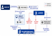 고려세무법인동 | 고려아연 특별세무조사…'원아시아-SWNC-세원' 자금흐름까지 들여다보나