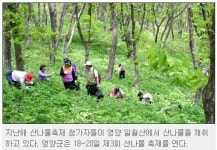 자연과산나물강원도 | 산나물채취 독초 주의해야