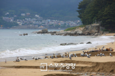 엔터맵거제송정 | 한국관광공사·해양환경관리공단 선정, ‘청정 해수욕장 20선’
