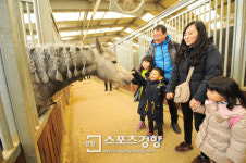 한국장애인단체총연맹마사회남단예상지판매소 | 한국마사회, 장애우 대상 무료 ‘시크릿웨이투어’ 진행