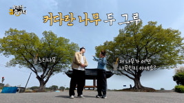‘우리 집 금송아지’ 전북특별자치도 김제시 백산면 요교 마을 편···석정 이정직 그림 등장!