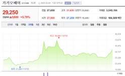 위메프_카카오페이문화비 | 카카오페이, ‘티메프’ 악재 여파에도…실적 발표하자 주가 ‘쑥’