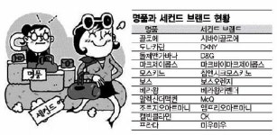명품, 세컨드 브랜드의 '반란'