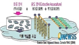 친환경수산물 양식기술 연구개발 ‘활발’