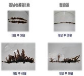 친환경복합양식융합협동조합 | 친환경수산물 양식기술 연구개발 ‘활발’