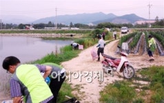한결지하수 대구지사 | 농어촌公 곡성지사, 깨끗한 용수공급 위해 수질관리 총력