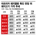 프리미엄직화삼겹최돼지파주 - 강남구 역삼로 204 | 파주 이어 연천까지…돼지열병發 '삼겹살 대란' 오나(종합2보)