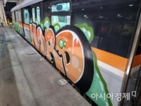 알파벳뉴트리션전국대패대전 | 전국 지하철 9곳에 '그라피티' 미국인 국내 송환
