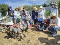 전원기술단주 | 서울시, 전원생활에 필요한 기초 영농기술교육
