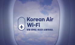 "외항사는 대부분 된다던데"…국내 항공사, 와이파이 소극적인 이유