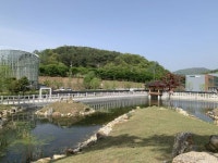 가보자캠핑광주지사 | 광주지역 피크닉·캠핑 맛집서 '봄 정취를'