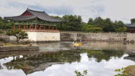 뉴월드파크골프경산.청도영천 | 영천 행정 특별상·경주 문화재 정비·경산 씨름 성황·청도 촘촘한 노인복지