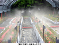 유한회사 찬물지하수 | 찬 계곡물 이용, 여름철 곤달비 생산 해결