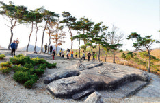신성통상TOPTEN경기광주 | 흥미진진 경기만큼 광주의 매력이 기다린다