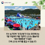 온휴가민박 | 올여름 휴가는 농가민박에서 하룻밤 묵어보자!