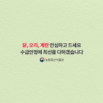 바른식용란사업소 | 계란 수급 안정에 최선을 다하겠습니다.