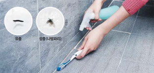 씨유충청소방학교점 | 집 안 유충, 수돗물 탓만은 아냐… '배수구' 청소해보세요