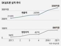 씨유에스케이실트론복지동점 | SK, 또 M&A 대박…실트론 몸값 2년새 약 5배 뛰어