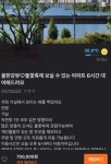 불꽃 축제 인파에 배달 제한…당근마켓 ‘70만원 아파트 대여’ 거래도