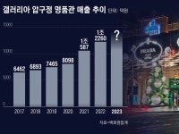 압구정 매출 추락, 주가는 반토막... 新사업 외친 갤러리아 ‘딜레마’
