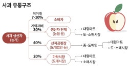 金사과 만든 유통폭리… 2000원이 6000원으로 뻥튀기