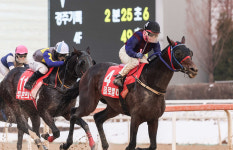 글로벌히트, ‘그랑프리’ 정점 찍고 세계 무대로