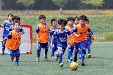 (주)현대그린푸드 울산현대축구단 | 울산 현대, 여름방학 축구교실 회원 모집