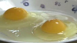계란프라이 칼로리 몇?…노른자·흰자 칼로리 차이 커