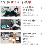 강아지가 딸, 아들이라더니...유튜버 강학두, 몰래 파양 뒤늦게 인정